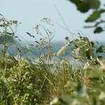 Ferienbauernhof Liesenberg Ferienreihenhaus Obstwiese *