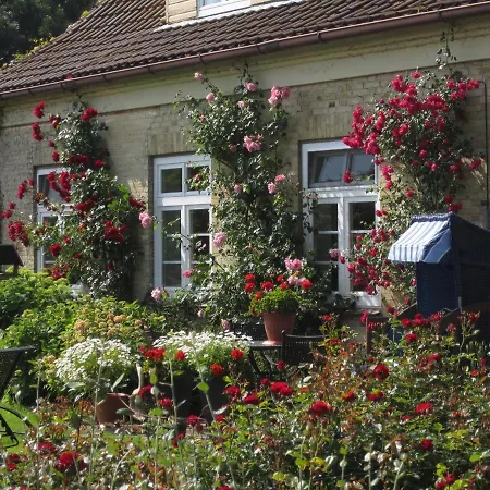 Ferienbauernhof Liesenberg Ferienreihenhaus Obstwiese *