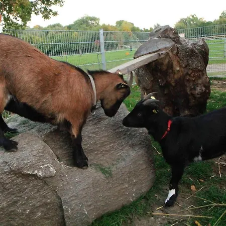 شقة Ferienbauernhof Liesenberg Ferienreihenhaus Obstwiese