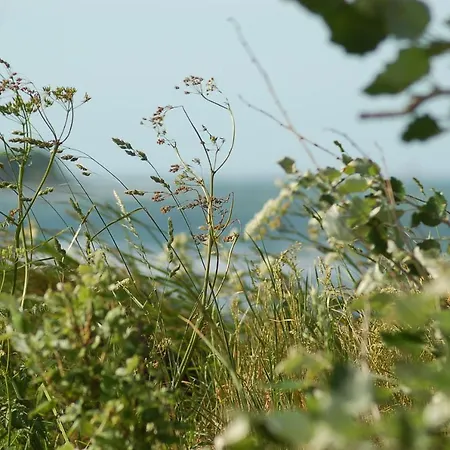 Ferienbauernhof Liesenberg Ferienreihenhaus Obstwiese *