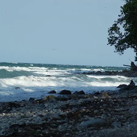Ferienbauernhof Liesenberg Ferienreihenhaus Obstwiese *