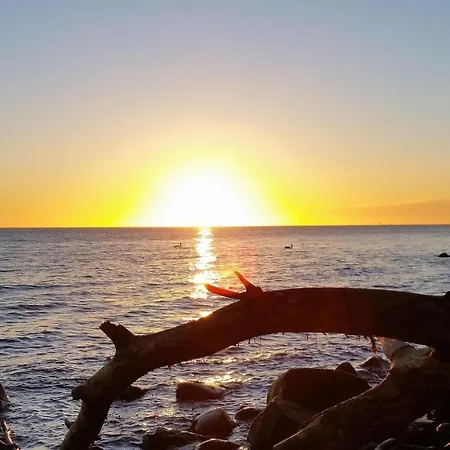Ferienbauernhof Liesenberg Ferienreihenhaus Obstwiese Apartment