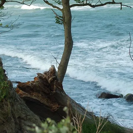 Ferienbauernhof Liesenberg Ferienreihenhaus Obstwiese Apartment Fehmarn