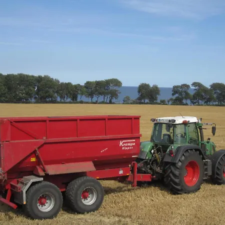 Apartment Ferienbauernhof Liesenberg Ferienreihenhaus Obstwiese Fehmarn