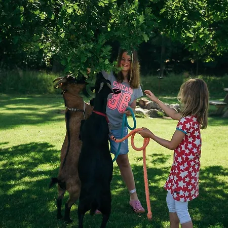 Ferienbauernhof Liesenberg Ferienreihenhaus Obstwiese Apartment